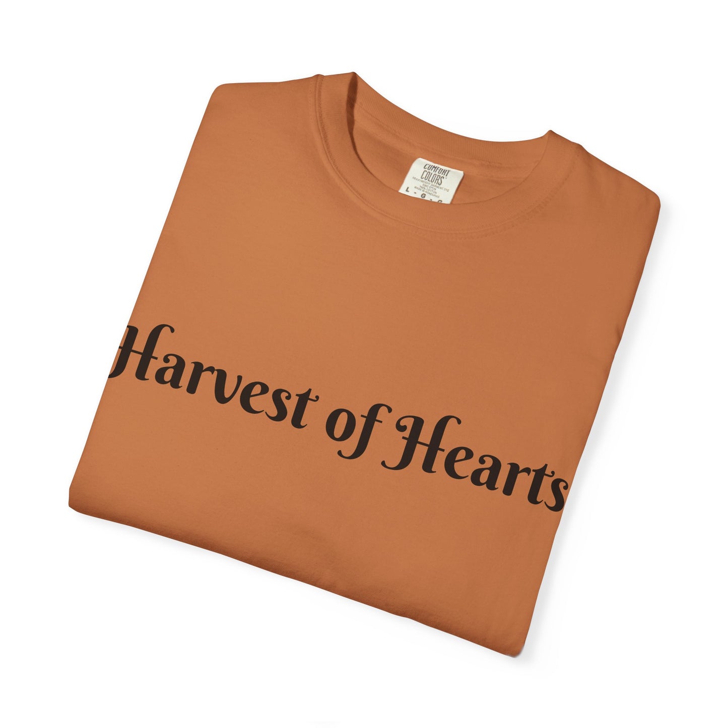 Faith and Farm T Shirt