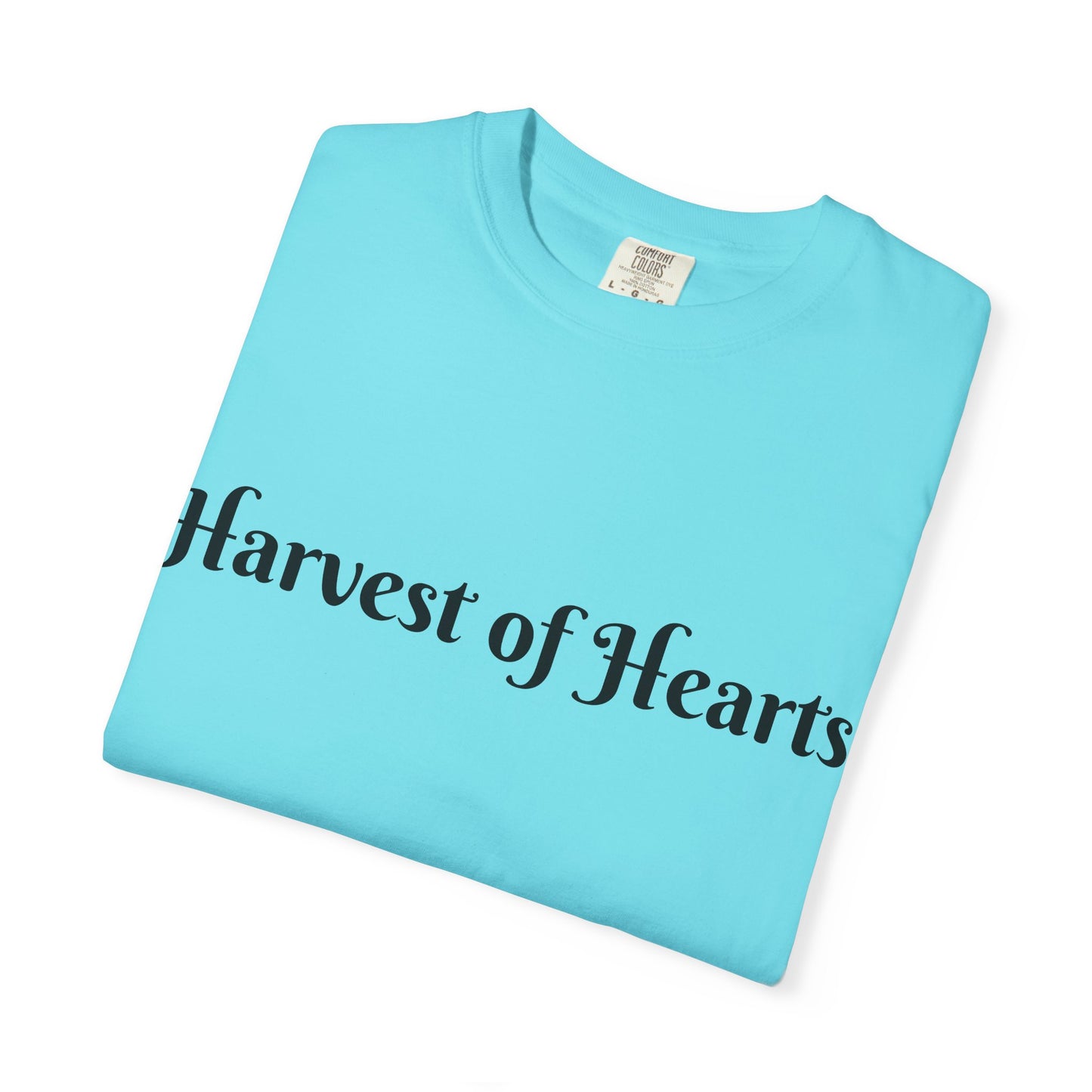Faith and Farm T Shirt